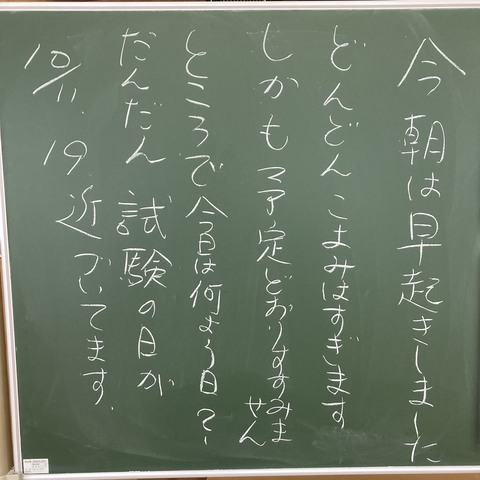 kataruta文章.jpg